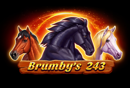 Brumby S 243